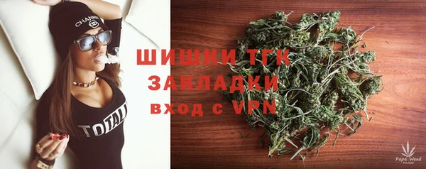 мет Алексин